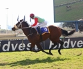 R1 Chantyman