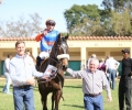R2 Marsala (1)