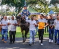R3-CANFORD-QUEEN-L