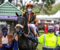 R2-GAZALA-GALLOP-L