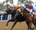 R2-GAZALA-GALLOP