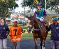 R4-TIN-CUP-L