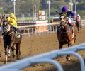R4-TIN-CUP