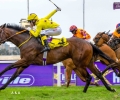 R4-COGNAC