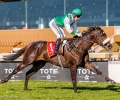 R4-STAR-IN-MOTION