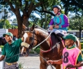 R4-TIN-CUP-L
