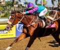 R4-TIN-CUP