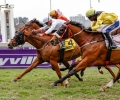 R5-ARVERNI-KING