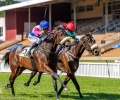R4-PRINCESS-ARVERNI