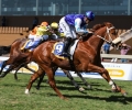 R1 Flying George