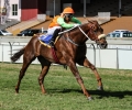 R3 Duke Of Spin