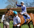 R5 Monte Christo L