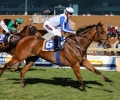 R5 Monte Christo