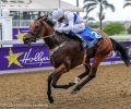 R7-SULTANAH
