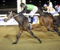 R10 Epona