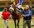 R2-GORGEOUS-CAPE-L
