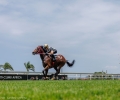 ROYAL-VICTORY-GALLOP