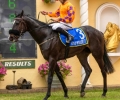 R4-MASTER-SILVANO-L