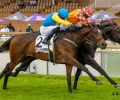 R4-MASTER-SILVANO