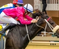 R6-ARVERNI-PRINCESS