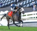 R1-BLACKJACK-RANDALL