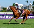 R4-AVERNI-KING