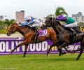 R8-WORLD-OF-OUR-OWN