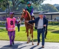R3-PURPLE-FLOWER-3