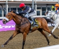 R8-ROOSTER-BRADSHAW-10
