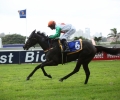 R7-Roys-Pony-race