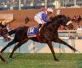 R9-DON-PIERRO