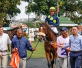 R1-SPIRIT-OF-LEVANA-L