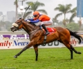 R3-CHESTNUT-BOMBER
