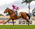 R9-SPIRITED-FLIGHT