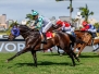 27 July 2025 World Pool Gold Cup