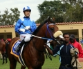 R1 Royal Crusade (1)