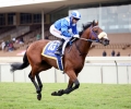 R1 Royal Crusade