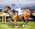 R8 Bull Valley (1)