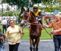 R1-GRAND-APPEAL-L