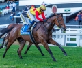 R4-NATIONAL-DREAM