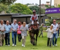 R4-AGRADO-50863