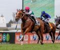 R5-WARRIOR-ROYALE-51008