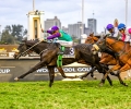 R7-MASTER-REDOUTE-2