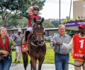 R3-TOWN-CRIER-53471