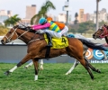R8-CATAVAR-54664