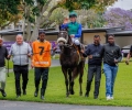 R1-QUEEN-BRAGANZA-7
