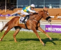 R5-LUCKY-DOLLAR-57440