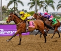 R8-IBUTHO-62881