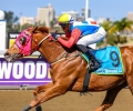 R1-WORLD-PHAROAH