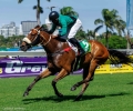 R1-CATAVAR